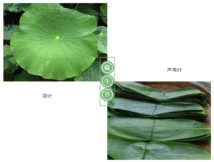 zoty中欧医纺