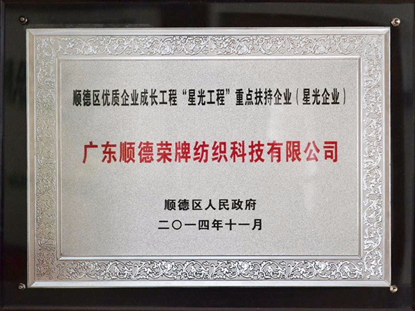 zoty中欧-2012年获顺德政府颁发“星光企业”称号