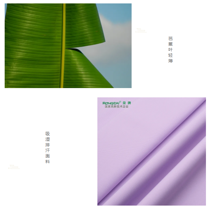 zoty中欧医纺