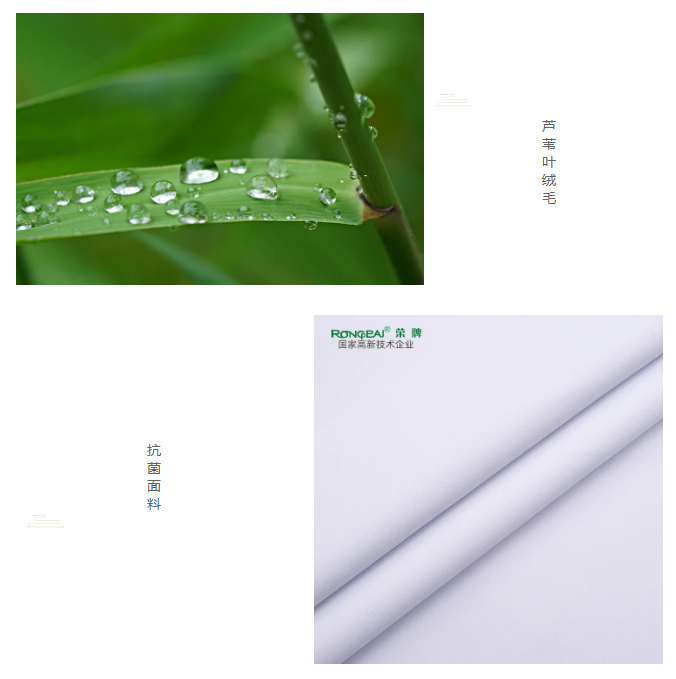 zoty中欧医纺
